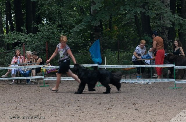 Фотография № 102731