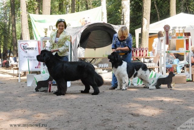 Фотография № 102733