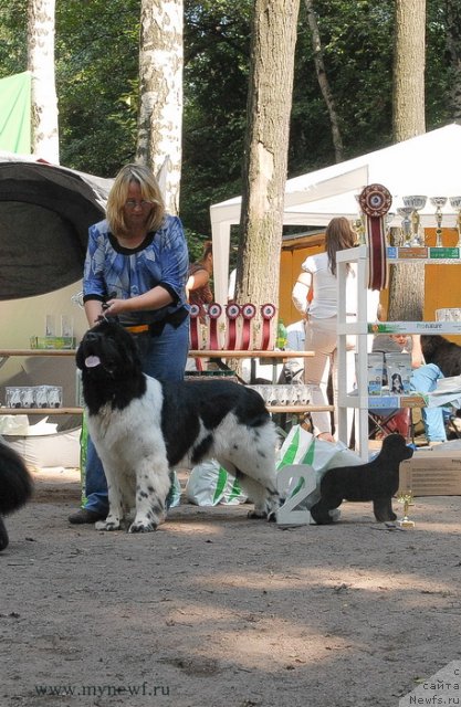 Фотография № 102735