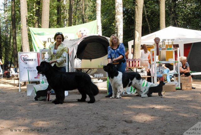 Фотография № 102738