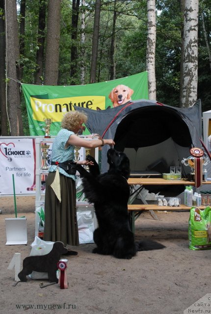 Фотография № 102740