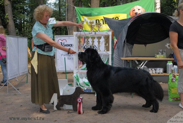 Фотография № 102742