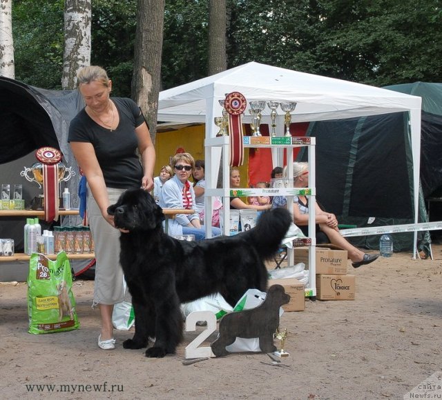 Фотография № 102744