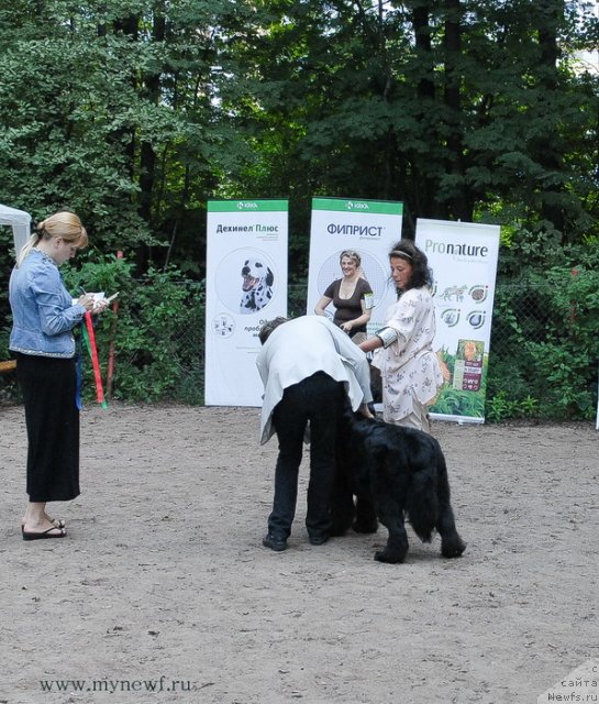 Фотография № 102747