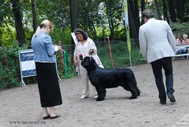 Фотография № 102750