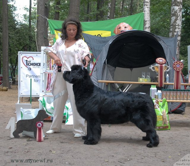 Фотография № 102752