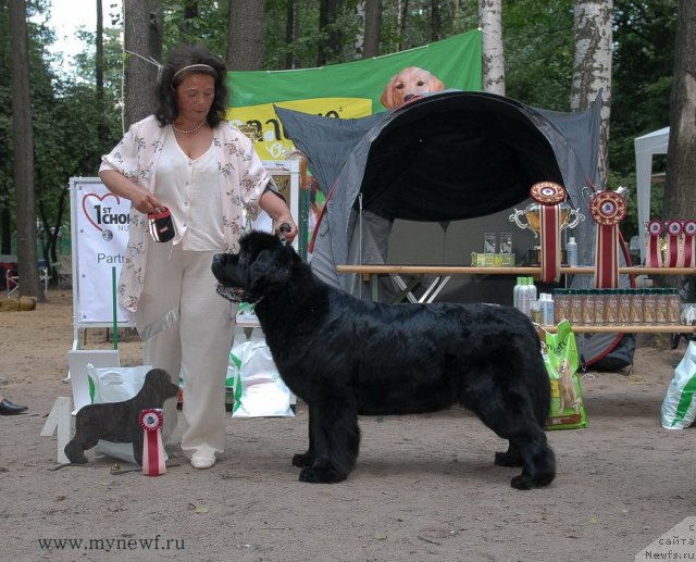 Фотография № 102753