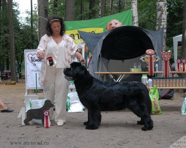 Фотография № 102754