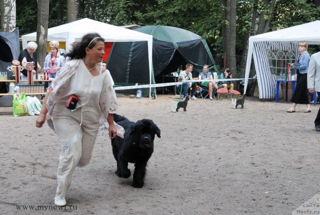 Фотография № 102758