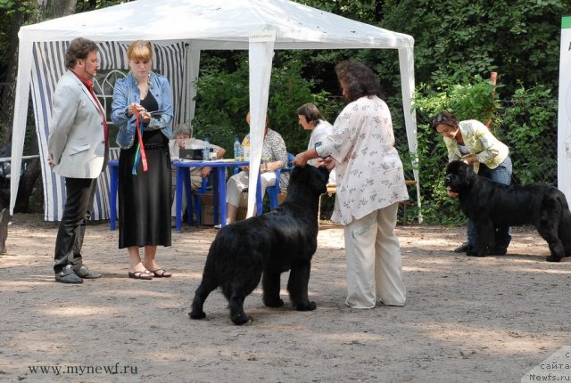 Фотография № 102760