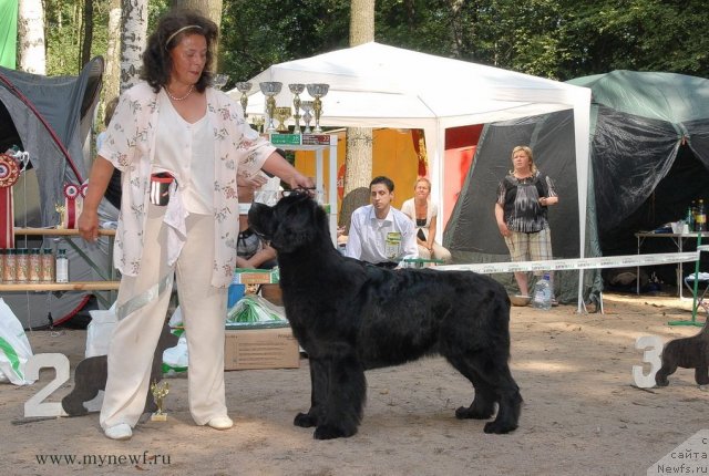 Фотография № 102764