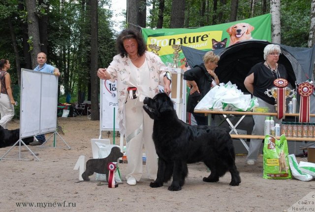 Фотография № 102769