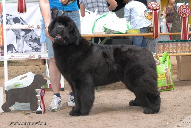 Фотография № 102772