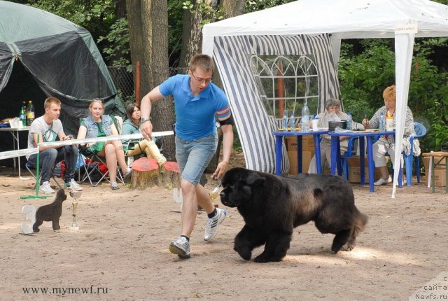 Фотография № 102777