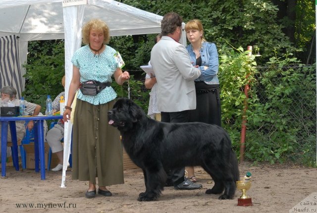 Фотография № 102785