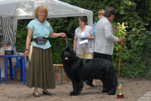 Фотография № 102786