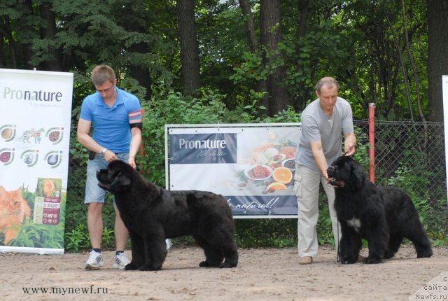 Фотография № 102788