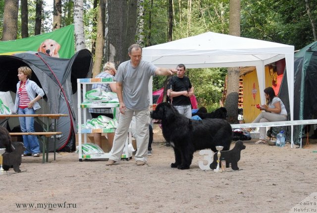 Фотография № 102791