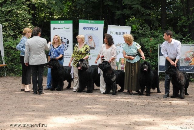 Фотография № 102797