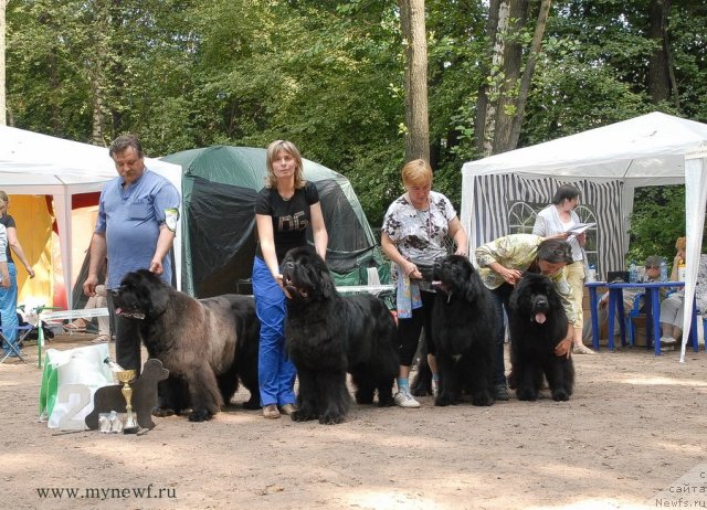 Фотография № 102800