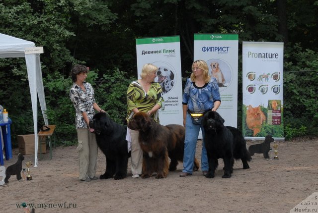 Фотография № 102801