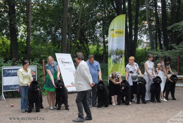 Фотография № 102802