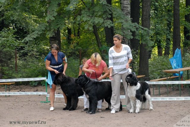 Фотография № 102803