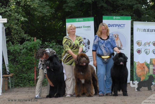 Фотография № 102805