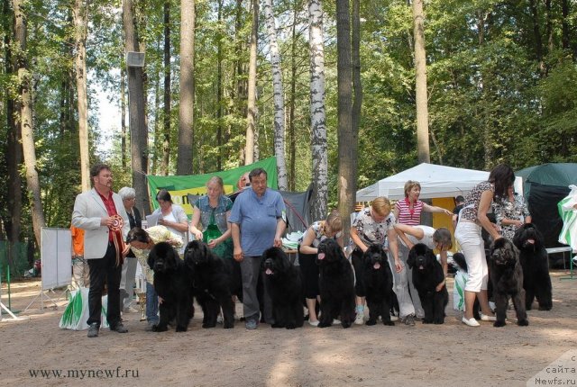 Фотография № 102806