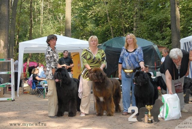 Фотография № 102807