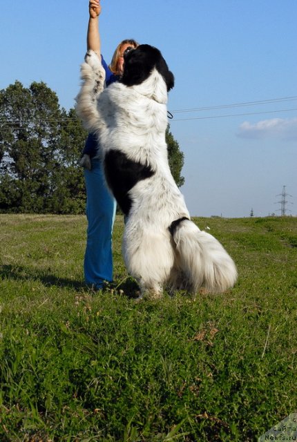 Фотография № 102818