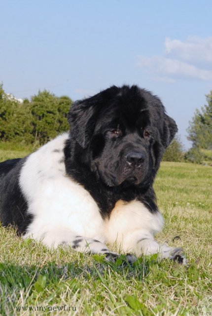 Фотография № 102892