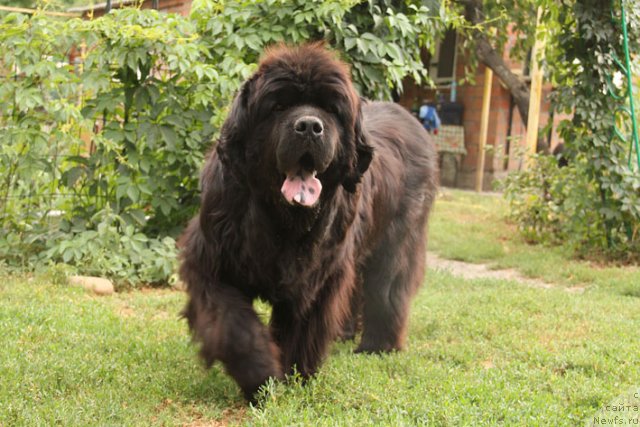 Фотография № 102968