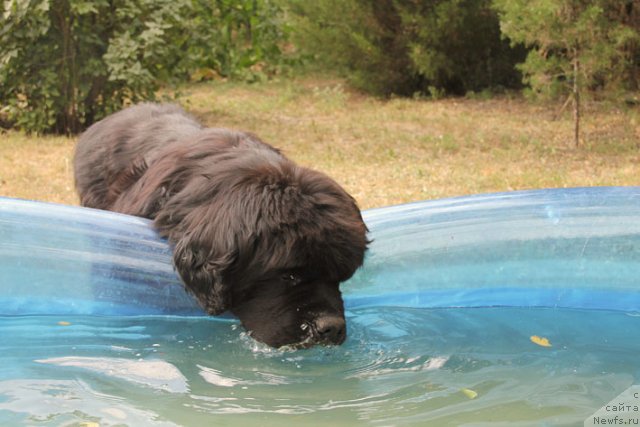 Фотография № 102969