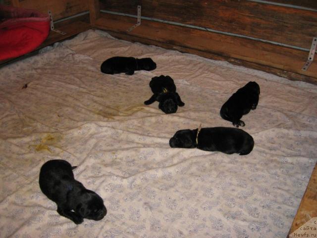 Фото: Ксения Дудина