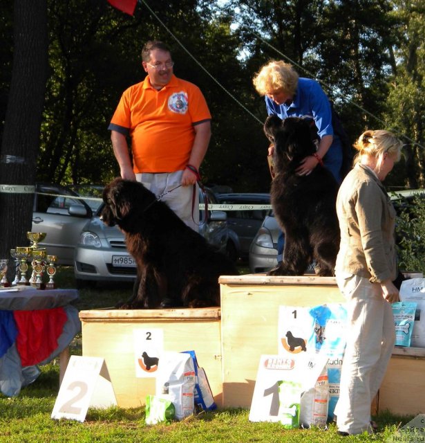 Фотография № 103017