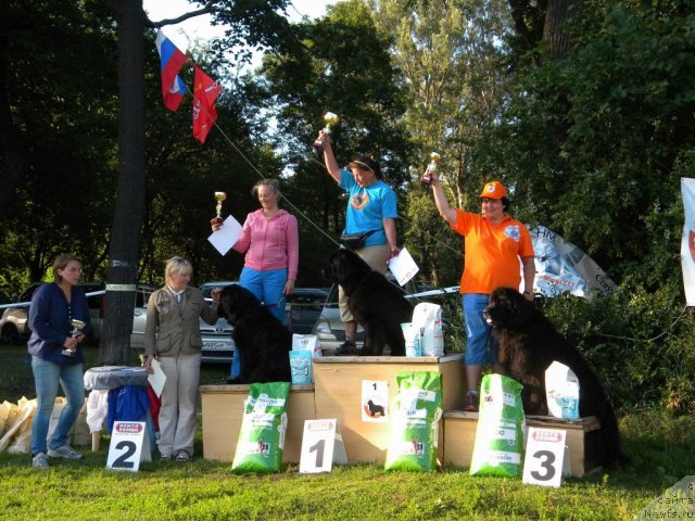 Фотография № 103019