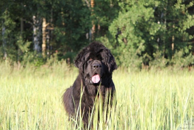 Фотография № 103047