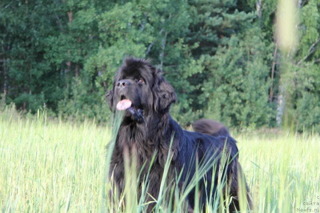 Фотография № 103048