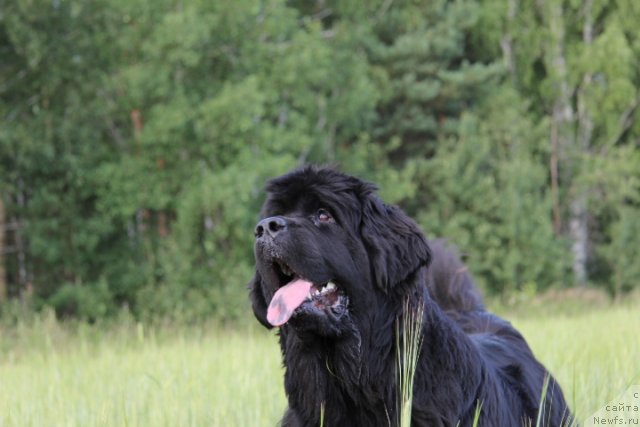 Фотография № 103049