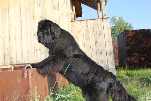 Фотография № 103053