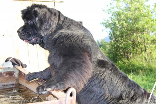 Фотография № 103054