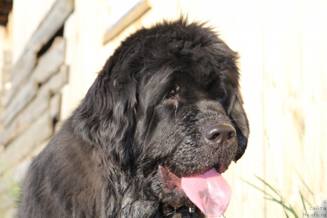 Фотография № 103055