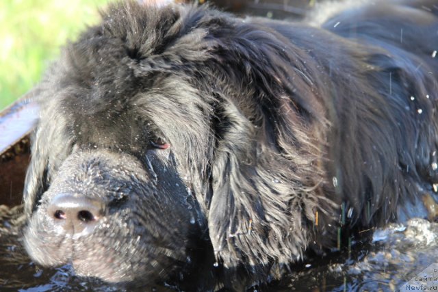 Фотография № 103057