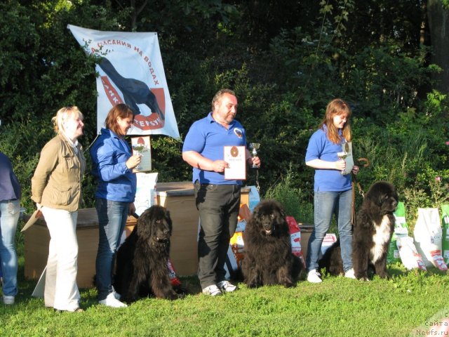 Фотография № 103071