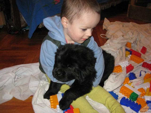 Фото: Ксения Дудина