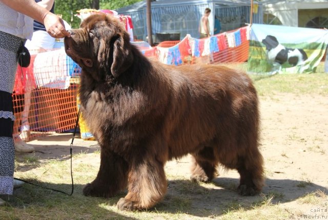 Фотография № 103104