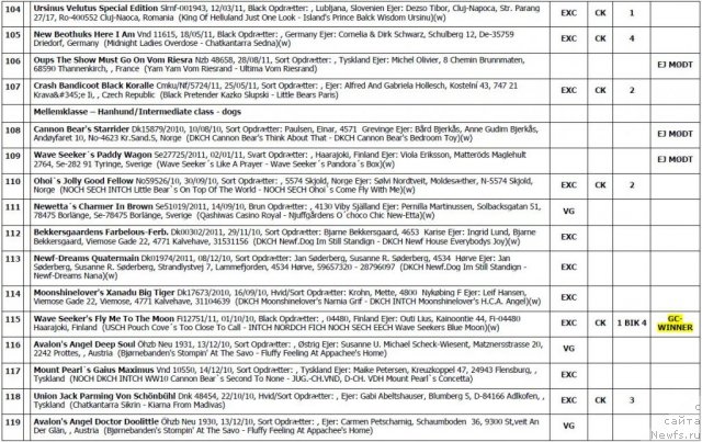 Фотография № 103122