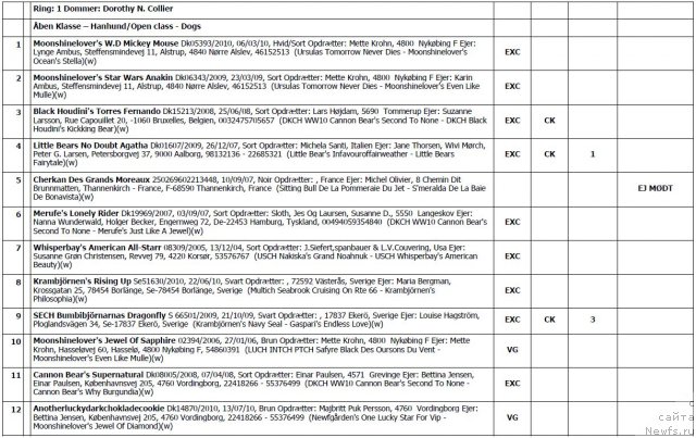 Фотография № 103126