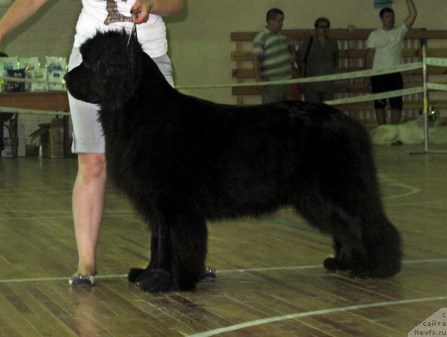 Фотография № 103149